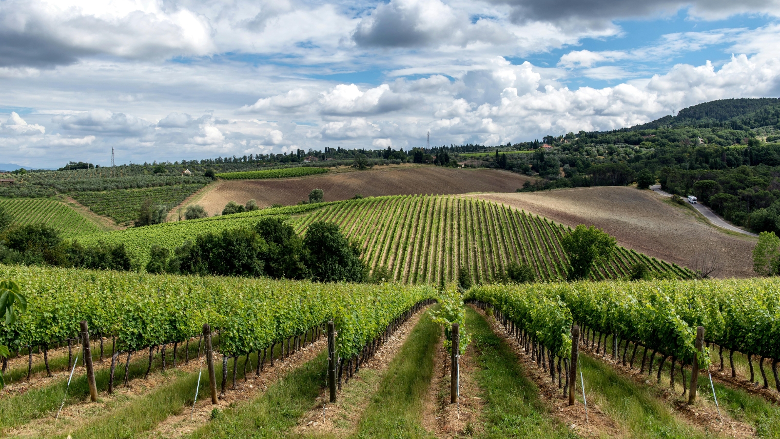 wine tourism destinations