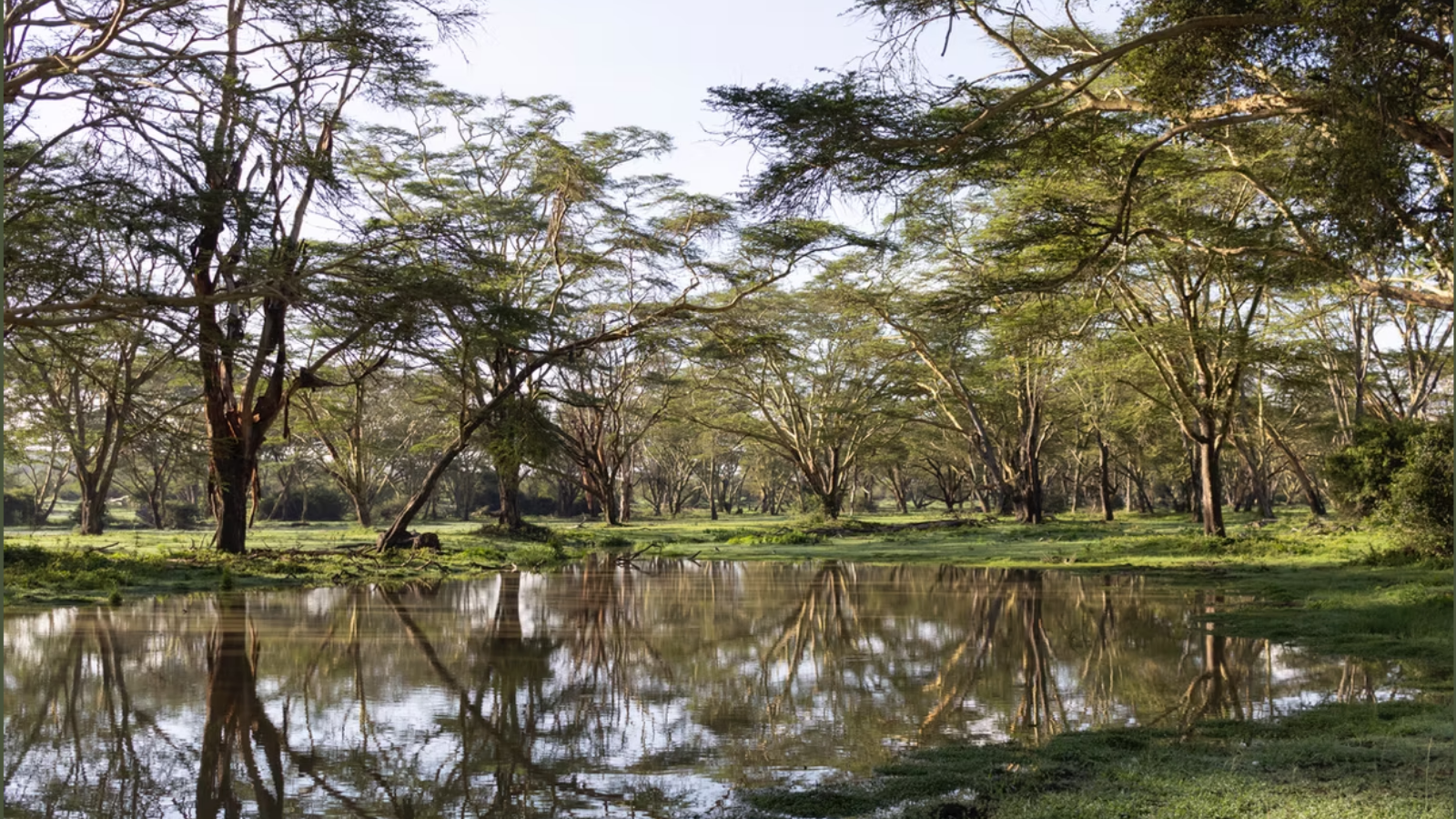 JW Marriott Kenya safari camp