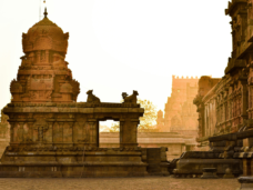Tamil Nadu. Photo Courtesy: Unsplash