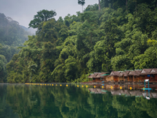 Khao Sok National Park, Khlong Sok, Thailand. Photo Credits: Unsplash