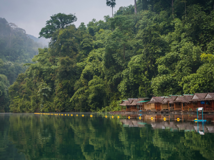 Khao Sok National Park, Khlong Sok, Thailand. Photo Credits: Unsplash