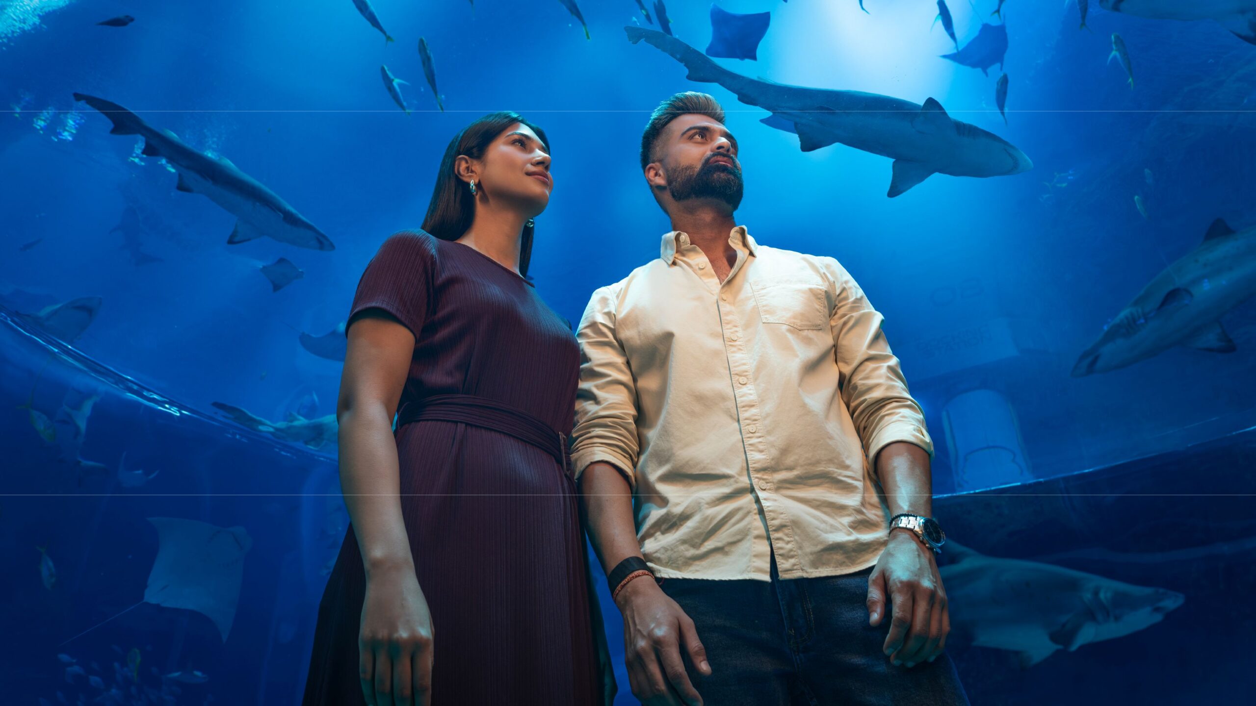 Photo Courtesy: Department of Culture and Tourism – Abu Dhabi (DCT Abu Dhabi) UAE